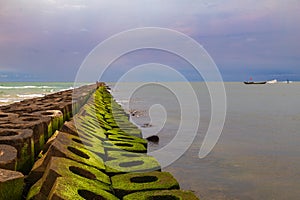 Green mossy seashore concrete blocks, green algae, mossy embankment