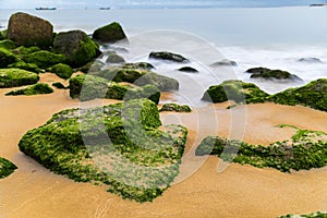 Green mossy seashore stones, green algea, yellow sand beach