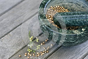 Green motar and pestle with coriander on a table