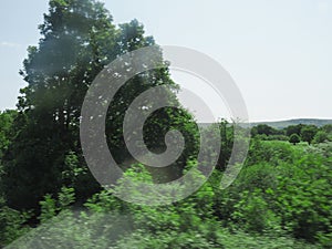 green motion blur landscape from moving train background