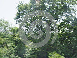 green motion blur landscape from moving train background