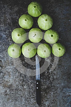 Green Mountain Apples
