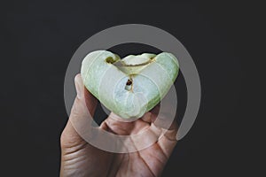 Green Mountain Apples