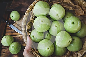 Green Mountain Apples