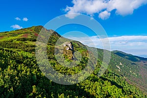 Zelená hora pokrytá lesem na pozadí modré oblohy. Malá Fatra slovensko