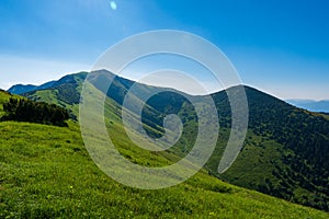 Zelená hora pokrytá lesem na pozadí modré oblohy. Malá Fatra slovensko