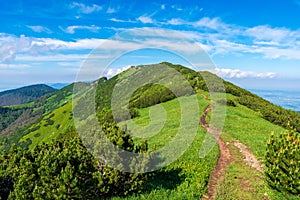 Green mountain covered with forest on the blue sky background. Slovak mountains trekking path in Mala Fatra slovakia