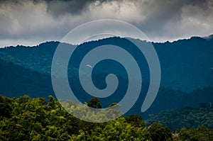 Green mountain forest in thailand