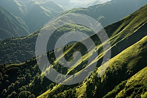 Green mountain hillsides with trees, pastures, meadows and deep valleys in region Tusheti