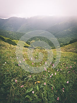 Green mountain landscape covered with clouds - vintage film effe