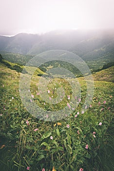 Green mountain landscape covered with clouds - vintage film effe