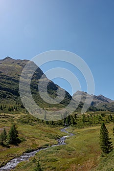 Green mountain landscape with a flowing stream at high altitude