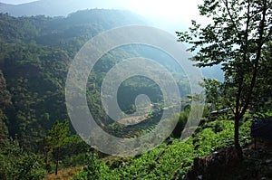 Green mountain landscape in Solukhumbu region, Himalayas photo