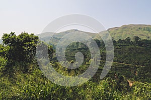 Green mountain landscape in Sri Lanka. Seen during the scenic train ride from Ella to Kandy.