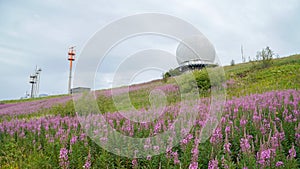 Green Mountain landscapes at the Wasserkuppe Peak in Hessen, Germany.