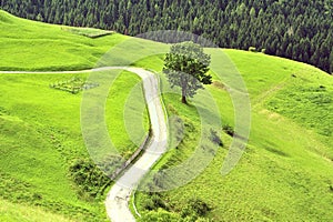 Green mountain meadow with narrow road