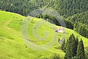 Green mountain meadow with narrow road