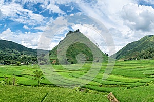 Green mountain with rice field terraces