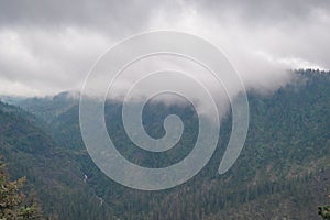 green mountain ridge with river flow between coniferous trees, morning clouds