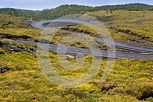 Green mountain winding road curves