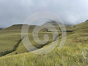 Green Mountains Drakensberg Monk`s Cowl