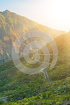 Green mountains hills and winding road near Masca village on a sunny day, Tenerife, Canarian Islands, Spain