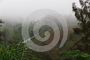 Green mountains, jungle and asian terraced farms.