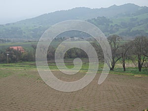 Green mountains and land, rural life at Solvang, California