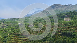 Green mountains landscape in Lebanon fruits groves near laqlooq and a perspective on the successing hills photo
