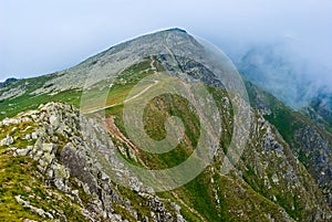 Green mountains in a mist