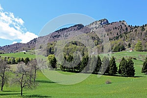 green mountains with Mount Spitz in Tonezza village in Italy