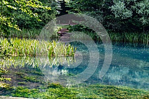 Green mountine lake in the forest