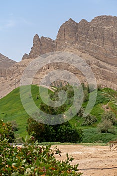 Green Mubazzarah Park in Al Ain, United Arab Emirates