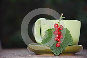 a green mug on a saucer with a sprig of red currant on the table