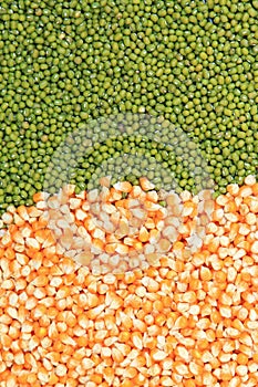 Green mung beans and corn grains