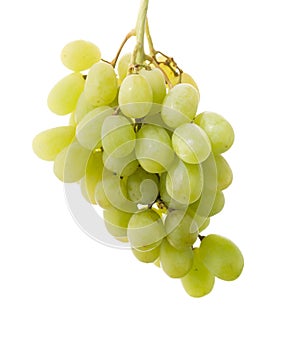 Green muscat grape bunch isolated on white background