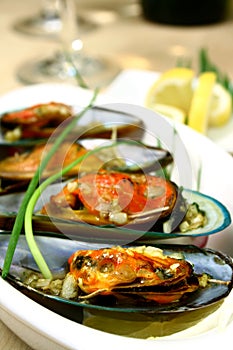 Green Mussels
