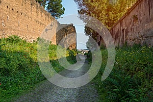 Green narrow street at Clivo di Rocca Savella in ancient Rome with a morning glow