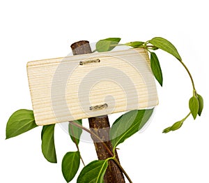 Green natural and bio sign