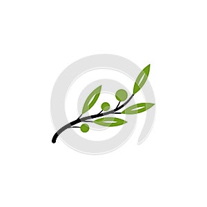 Green natural olive tree vector.