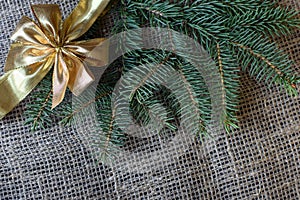 Green natural spruce branch and gold bow on a gray mat. Burlap with copy space. Christmas and new year concept