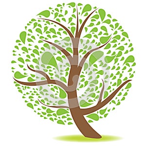 Green Natural Tree