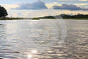 Green nature of amazon river from the boat sie of view in Leticia, Colombia