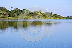 Green nature of amazon river from the boat sie of view in Leticia, Colombia