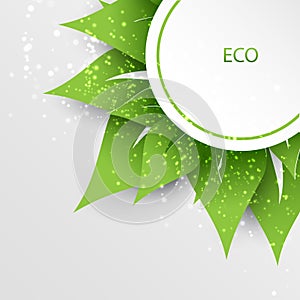 Green nature eco background