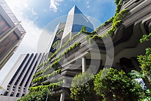 Green nature facade on modern building