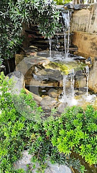 Green Nature Garden decoration of Mini waterfall set with stone and tropical fern plant forest patterns in the garden