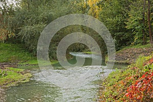 Green nature landscape during fall season with autumn tree colors