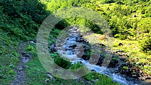 Green nature landscape of a river and forest in Karcal mountains of Blacksea region, Artvin, Turkey