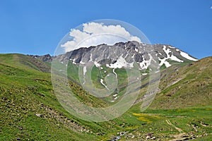 Green nature in Lar National Park , Alborz mountains , Iran